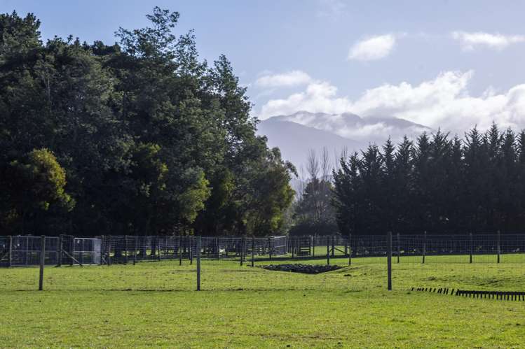 707 Norfolk Road Carterton_16