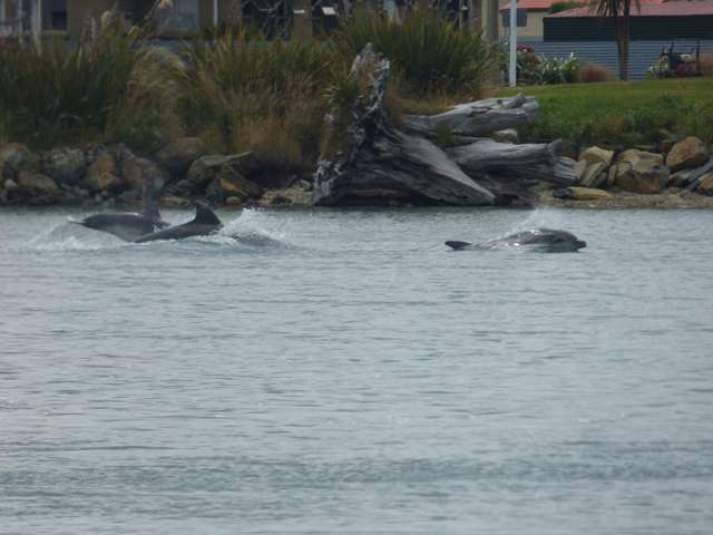 3 Bay Road Riverton_3