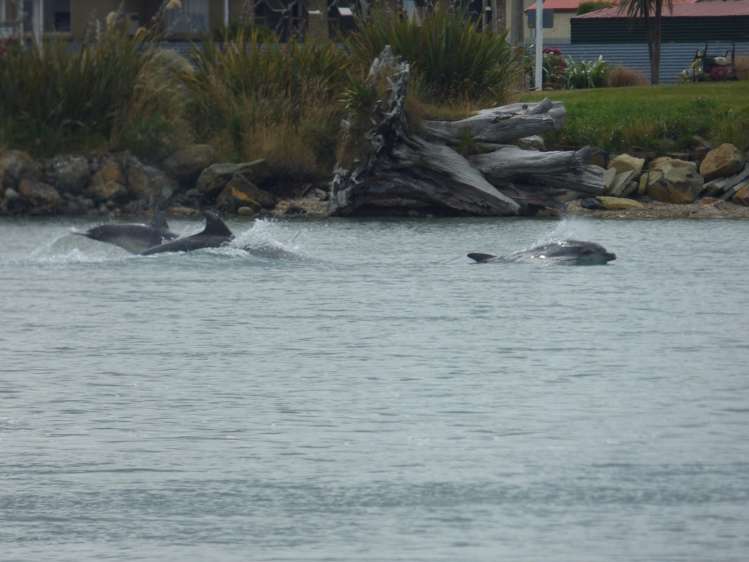 3 Bay Road Riverton_3