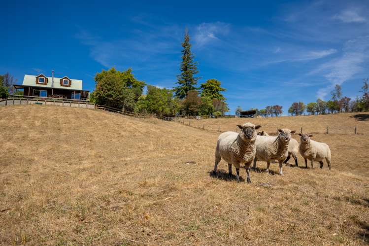 66 Stagecoach Road Upper Moutere_15