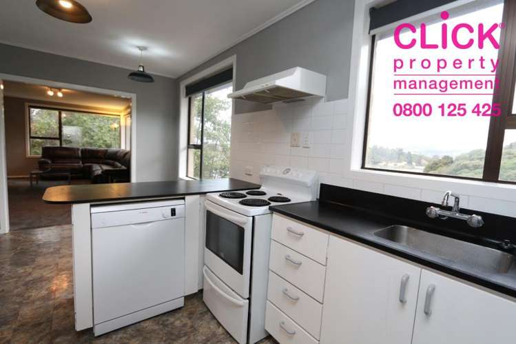 14 Larnach Road Waverley_4