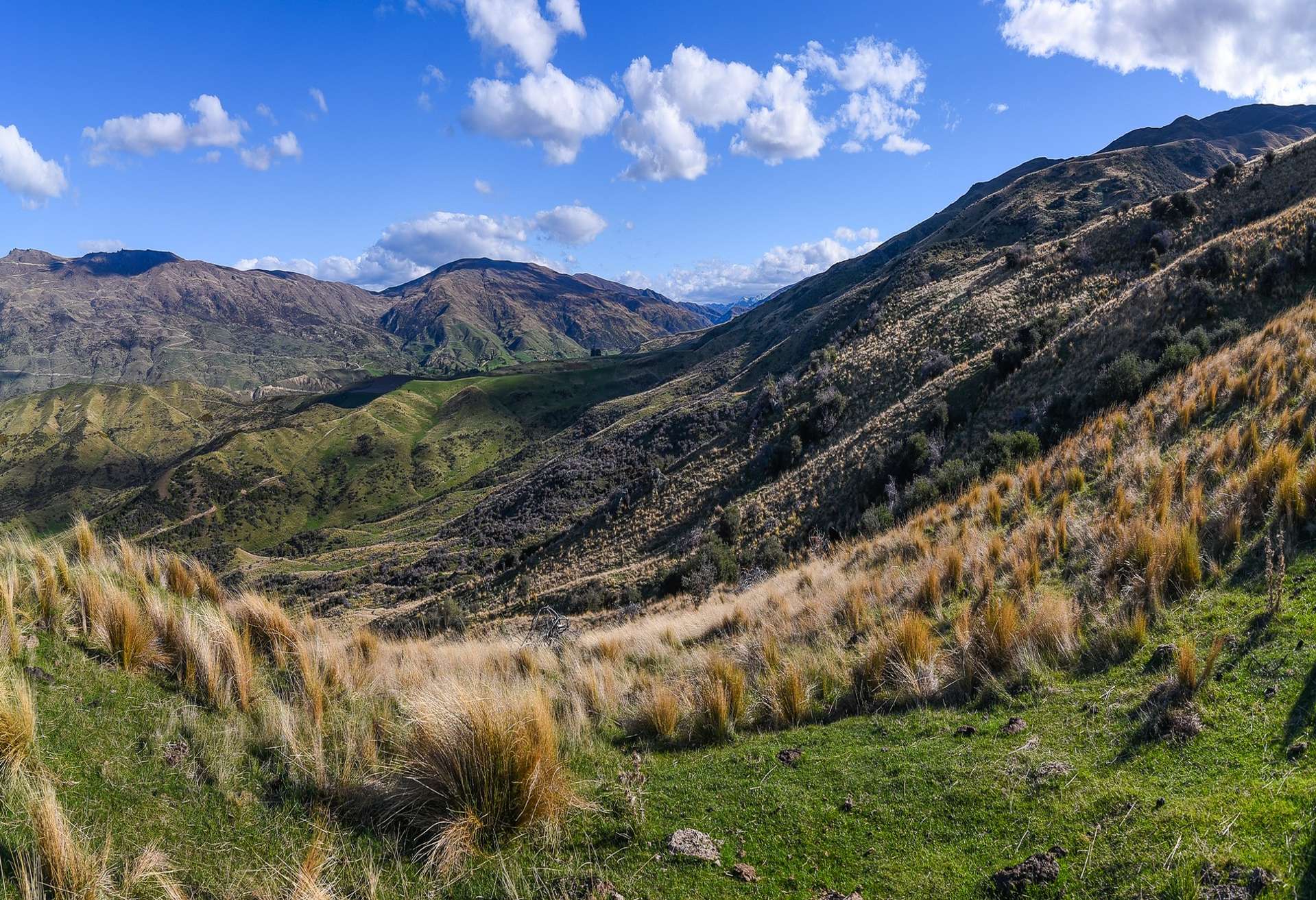 Branch Creek Station Cardrona Wanaka Rural Property For Sale