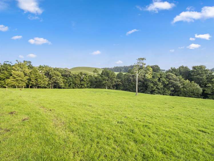 216 Haruru Road Kaukapakapa_2