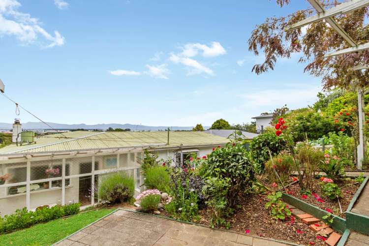 217 Annesbrook Drive Wakatu_9