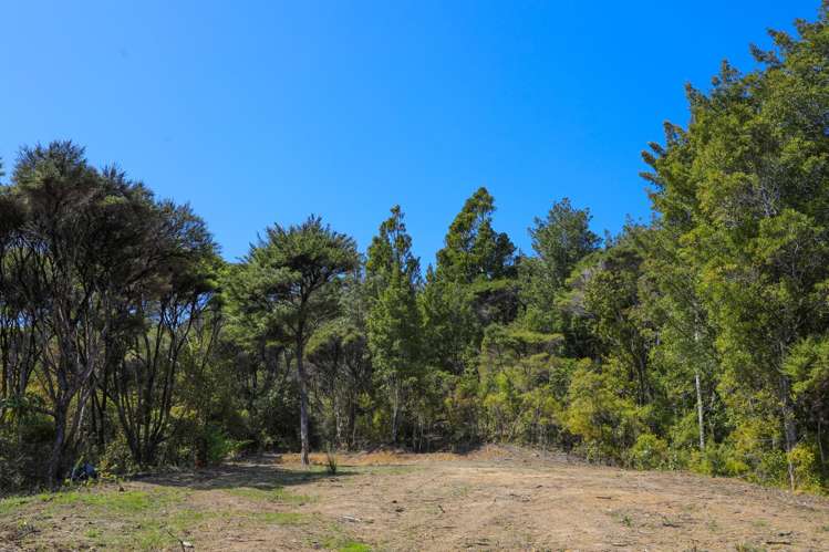 Lot 5 21 Waikawau Beach Road Little Bay_11