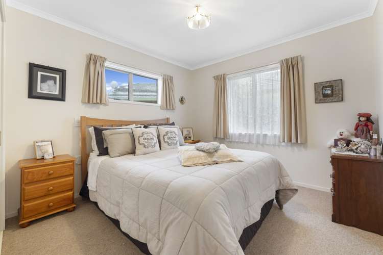 3 Foxtail Fern Kelvin Grove_7