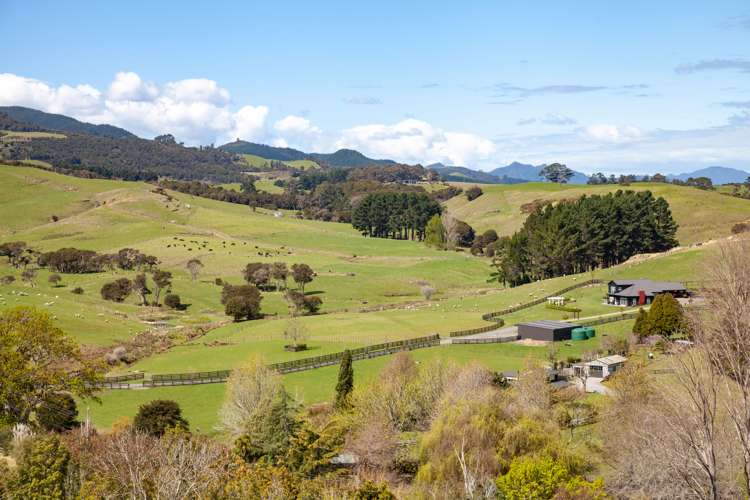 55 Totara Valley Road Thames_20