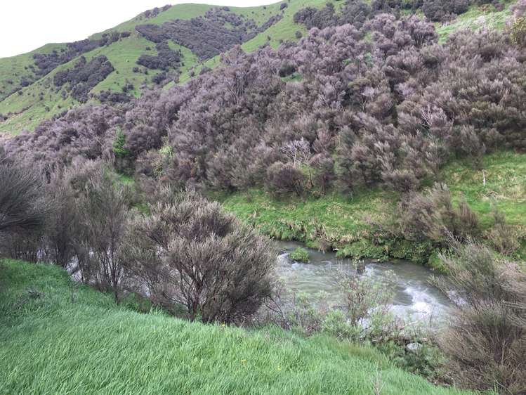 Pahiatua Pongaroa Road Pongaroa_12