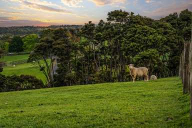 161 Waikoukou Valley Road_4