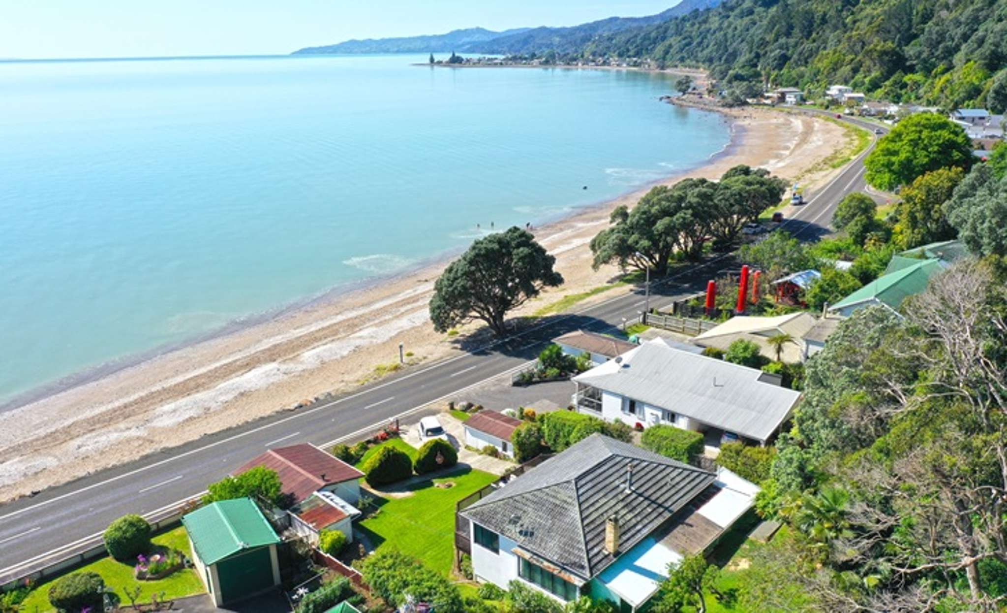 $1 reserve auction: Why couple took a gamble on slip-damaged beach home