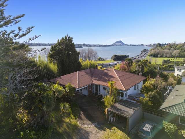 113 Twelfth Avenue Tauranga South_4