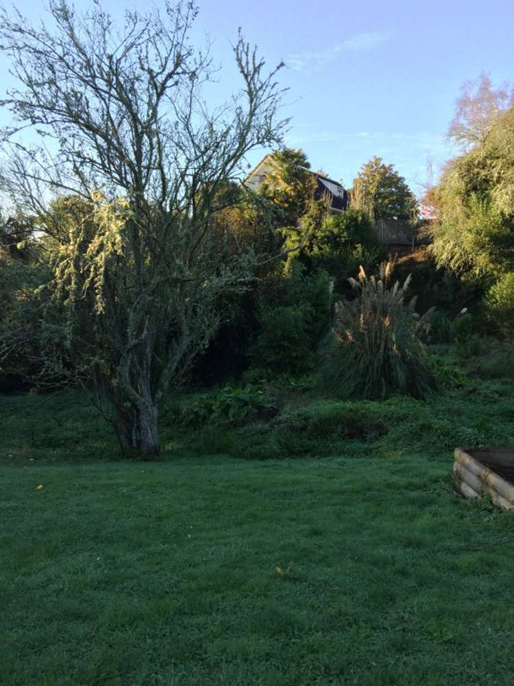 31 Ailsa Street Te Kuiti_10