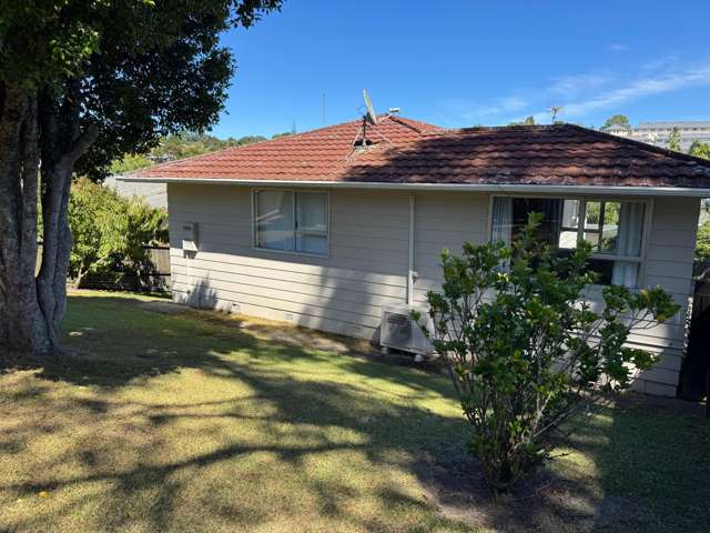  65 Brunner Road Glen Eden_1