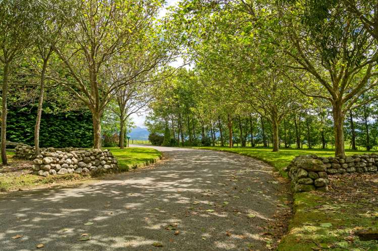 147 Millers Road Kopuaranga_5