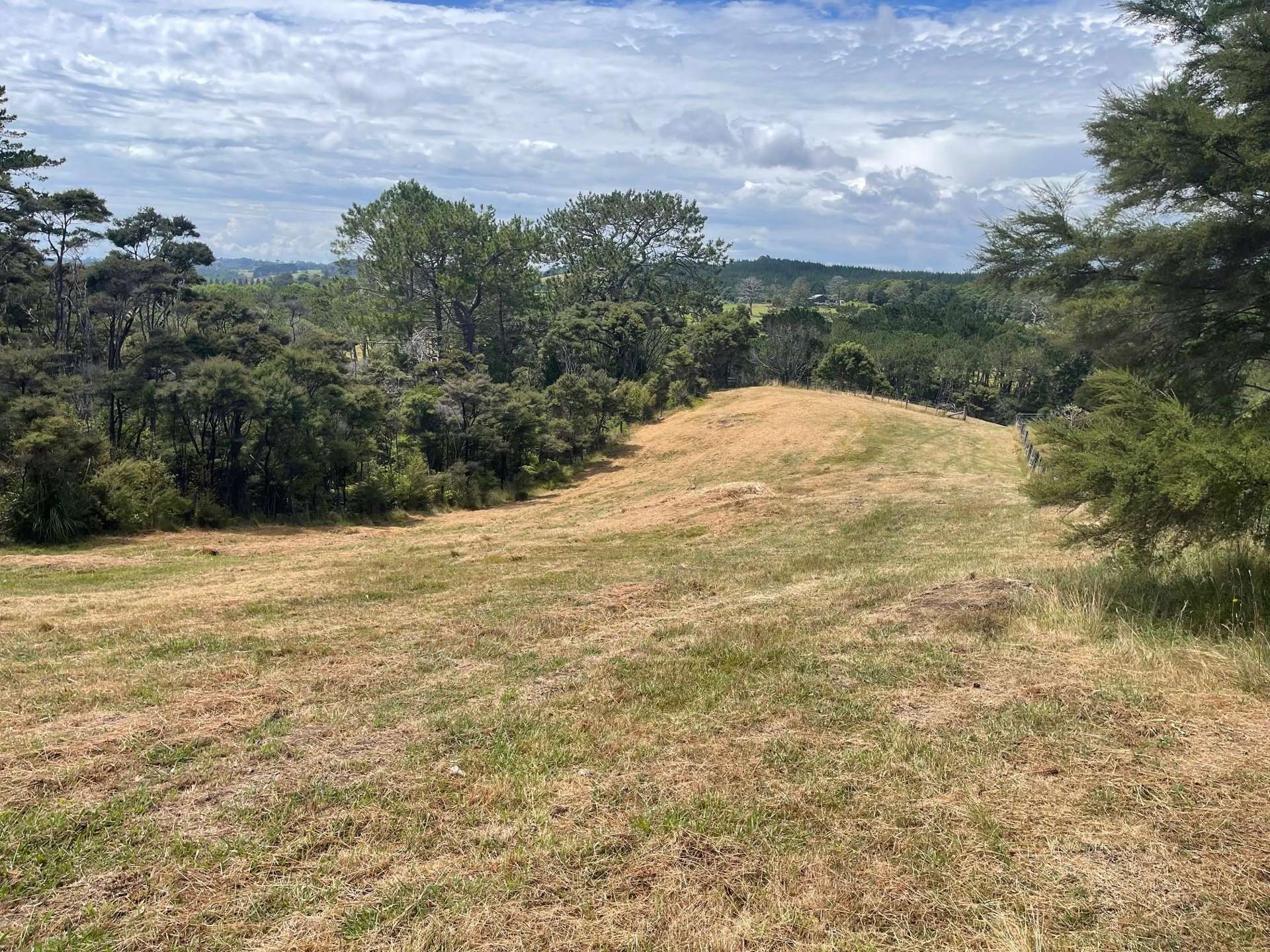 51 Drury Lane Dairy Flat_0