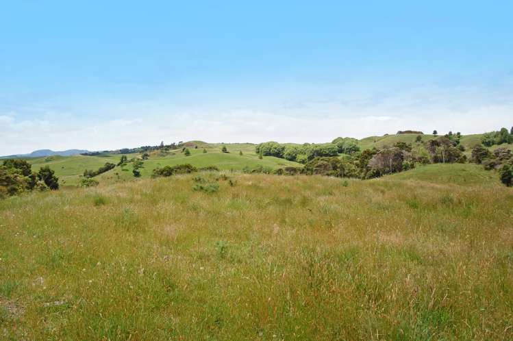 138 Rangiora Road Kaiwaka_9