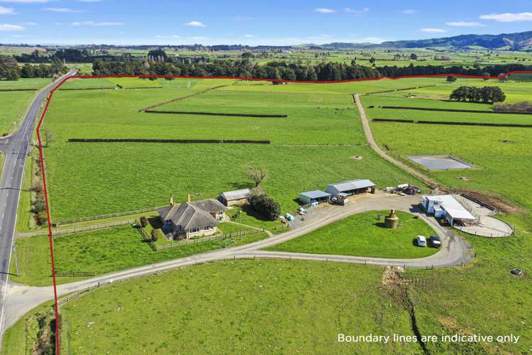 711 Horrell Road Morrinsville_2