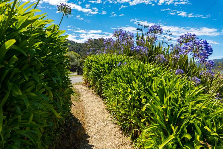 347 Anakiwa Road Anakiwa and Surrounds_21