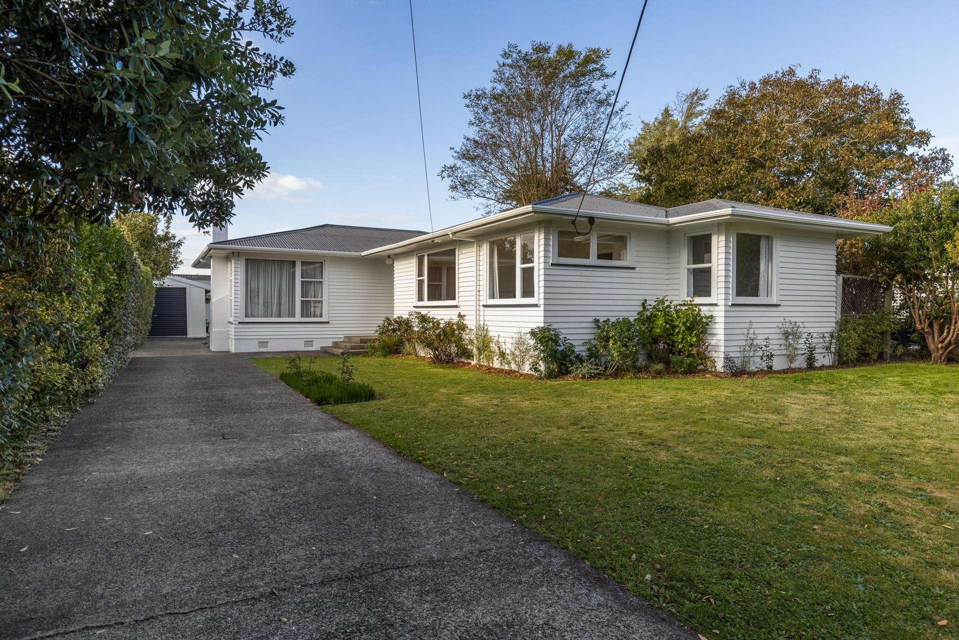 6 Duke Street Levin_0
