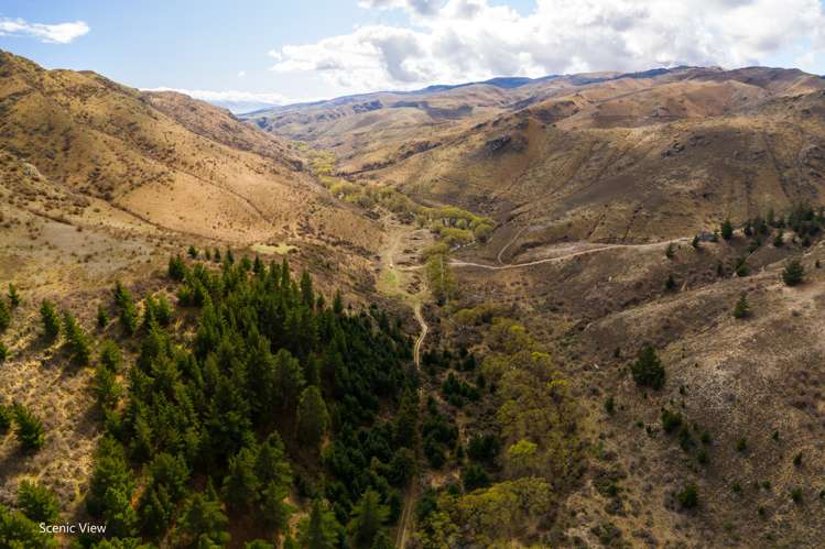 Cornish Point Road Nevis_3