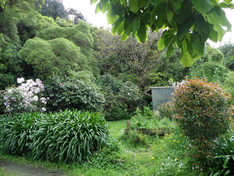 8 Renall Street Featherston_25