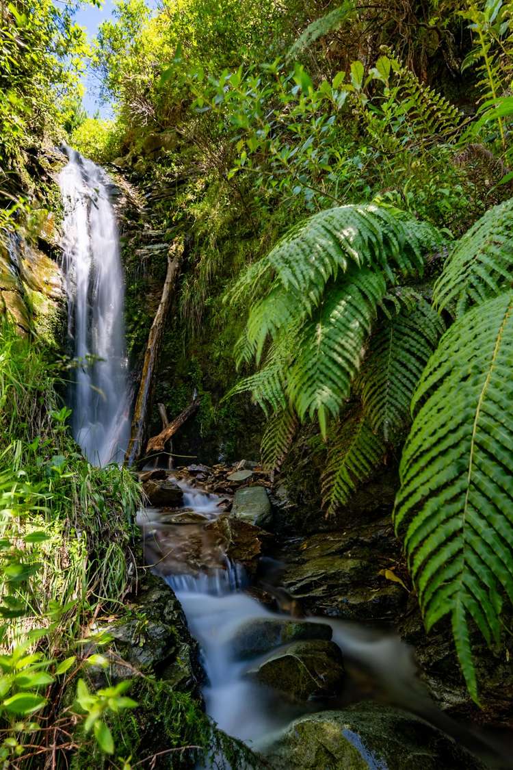 815 Manaroa Road Marlborough Sounds_21