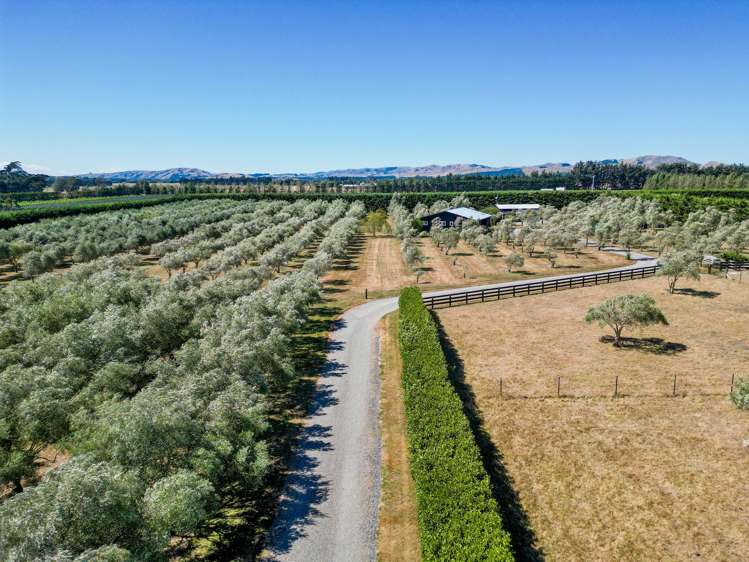 399a Lake Ferry Road Dyerville_23