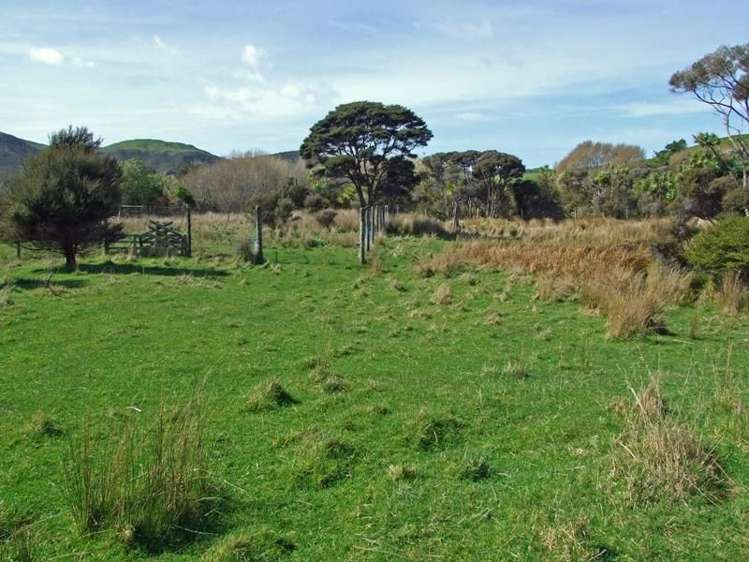 172 Wharariki Road Kahurangi National Park_8