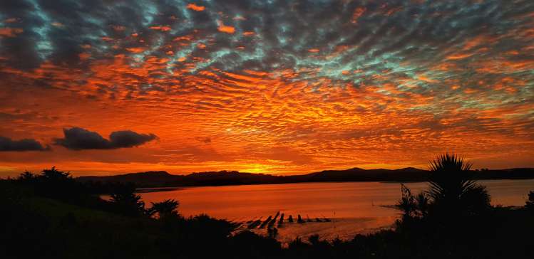 572a Pahi Road Paparoa_15