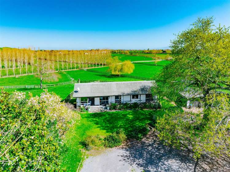 122 Rotoorangi Road Cambridge_34