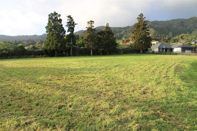 75 Beech Lane Coromandel_2