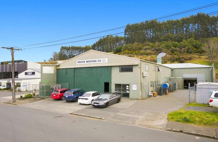 18 Mcnab Street Kenmure_20
