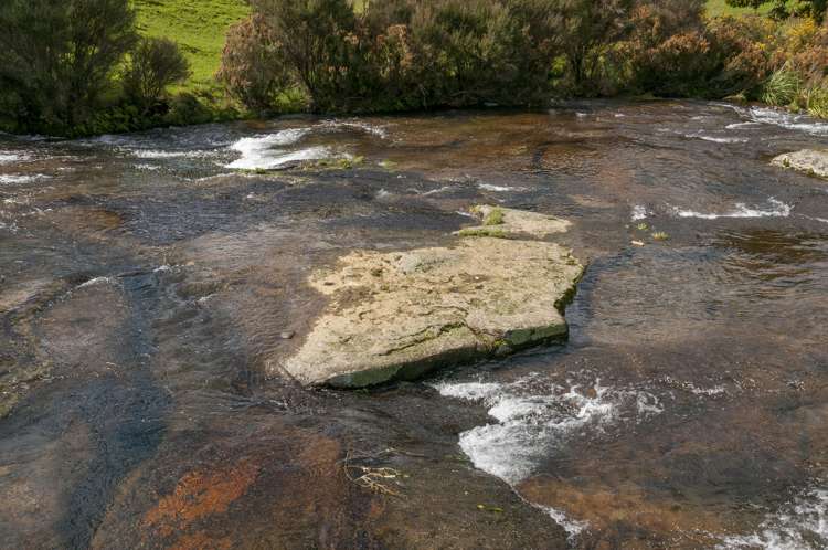 698f Whakamarama Road Whakamarama_25