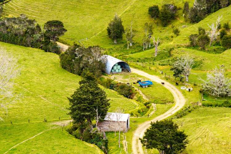 570 and 698 Whananaki South Road Whananaki_8