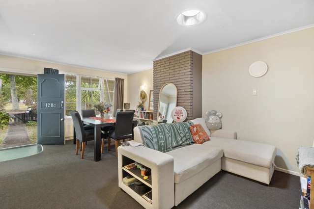 120C Firth Street Hamilton East_2