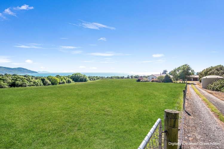 385 Cathedral Road Domett_6