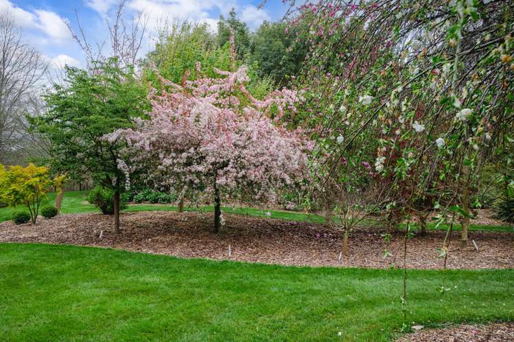 2306 Buckland Road Cambridge_26