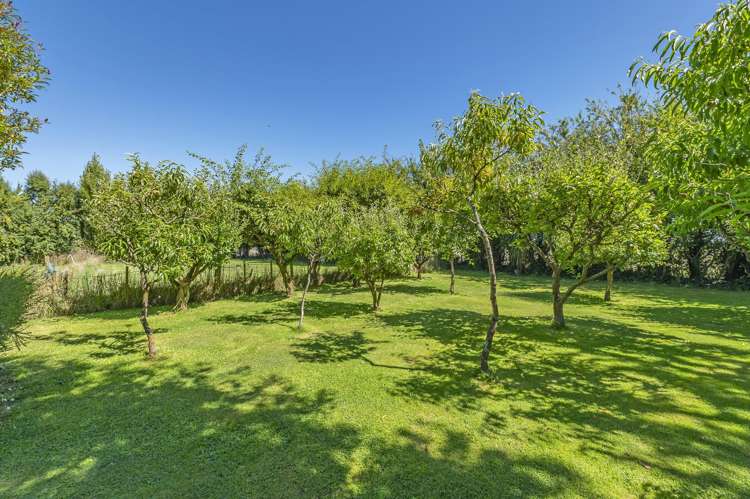 149 High Street Leeston_23