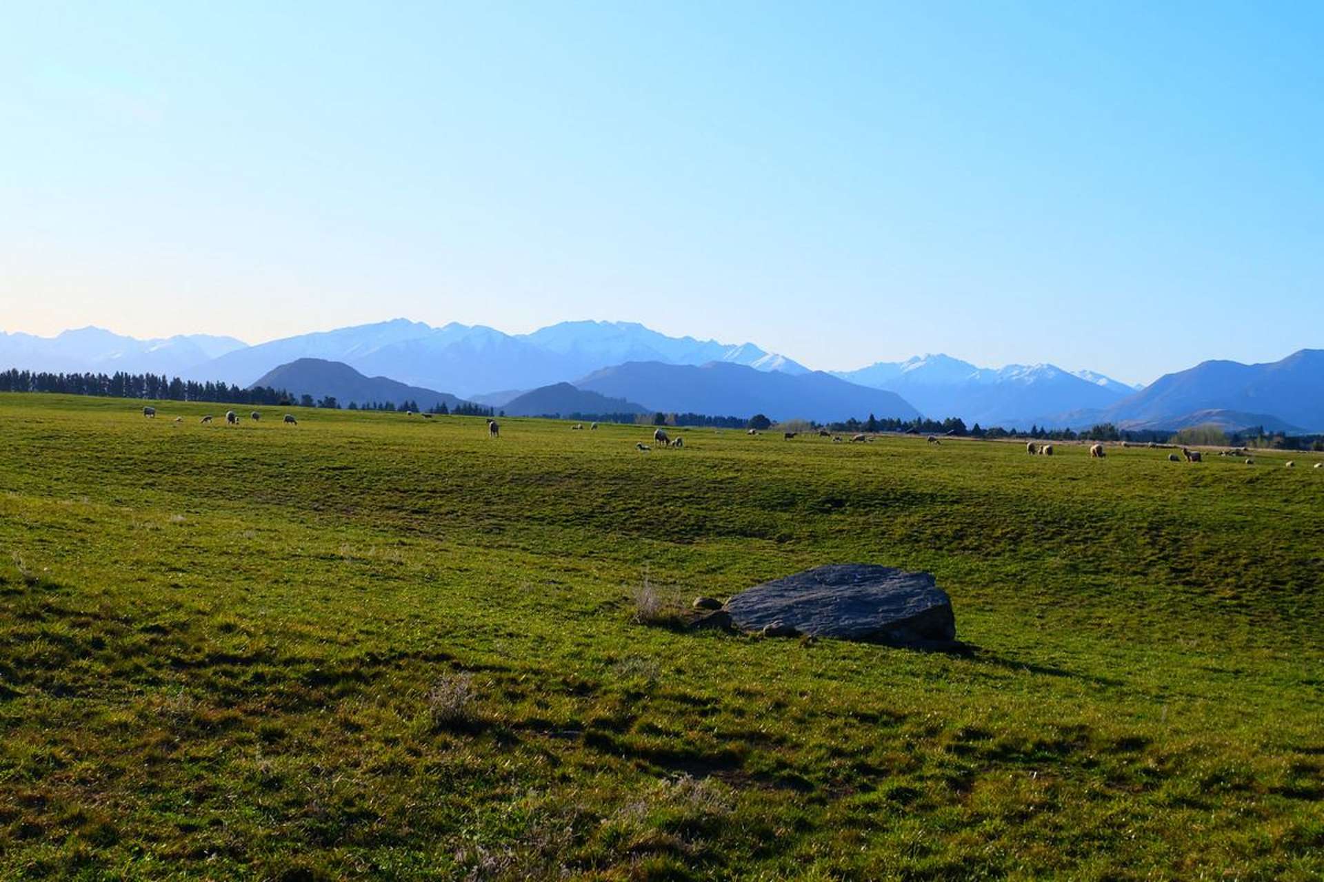 Lot 1 & 2/202 Mount Barker Road Wanaka_0