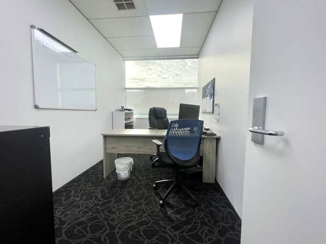 61 Saint Lukes Road Mt Albert_4