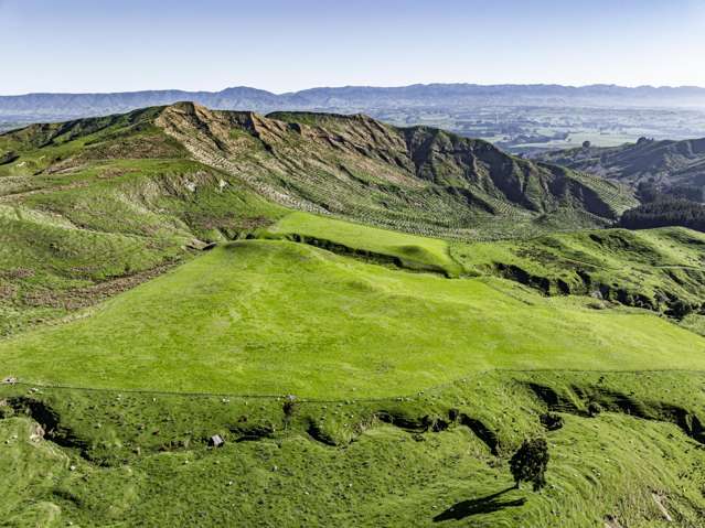 Mananui Station Ormondville_1