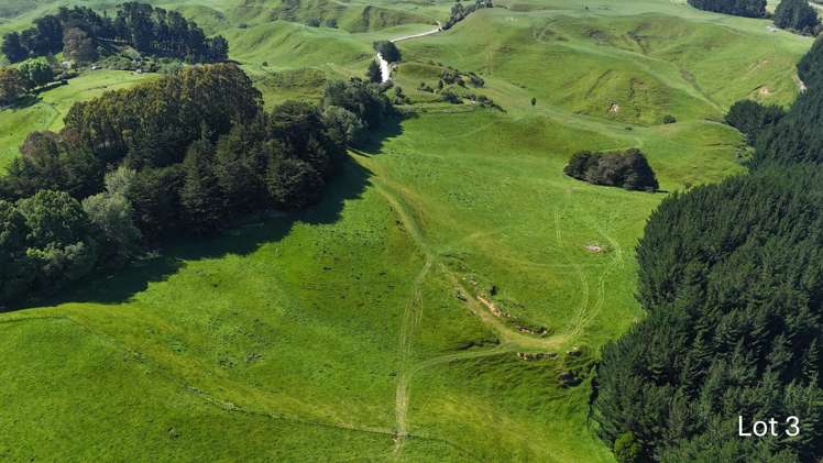 Lot 3 and 7/1005 Rangitatau East Road Kai Iwi_9