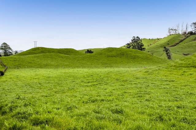 246 Kupara Road Inglewood_2