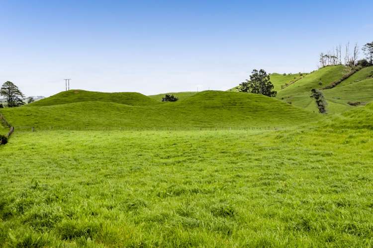 246 Kupara Road Inglewood_2