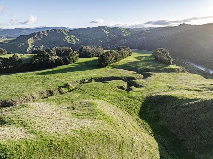 1015 Waitara Road Te Haroto_42