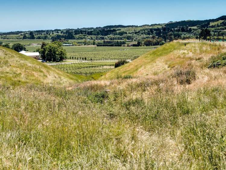 338 Te Mata Road Havelock North_12