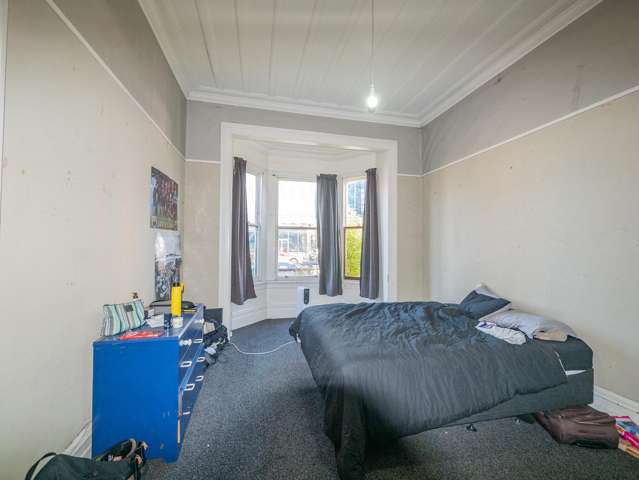 175 Albany Street North Dunedin_3