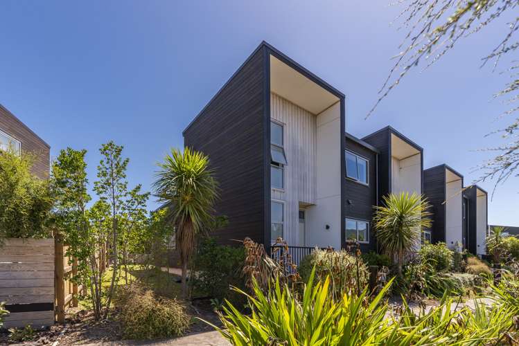 35 Te Ara Kawakahia Waikanae_25