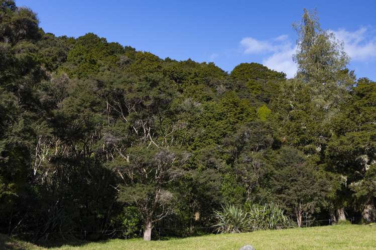 723B Whangarei Heads Road Parua Bay_25