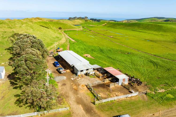 780 Te Maire Road Te Kopuru_10